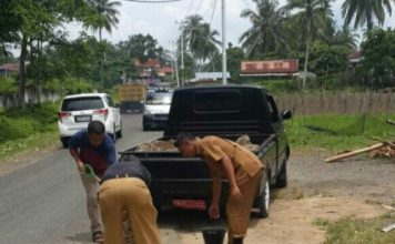 Pemkab Tanah Datar Tanggapi Serius Tambal Jalan Berlobang, Ini Jawabannya