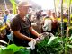 Diduga Bunuh Anak Sendiri, Tersangka RD Diamankan Polisi