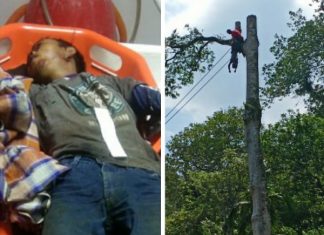 Peristiwa Menyedihkan, Penebang Kayu Tewas Diatas Pohon