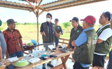 Perkenalkan Pupuk Seresah, Prof. Wiwit Siap Kerja Sama dengan BUMP Riau