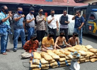 Angkut 100 Kg. Ganja dengan Mobil Avanza, Empat Pemuda Ditangkap Polisi