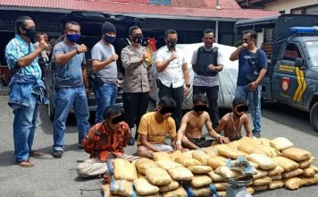 Angkut 100 Kg. Ganja dengan Mobil Avanza, Empat Pemuda Ditangkap Polisi
