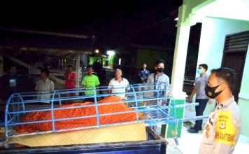 Temukan Mayat di Kebun Singkong, Polisi Lakukan Indentifikasi dan Olah TKP
