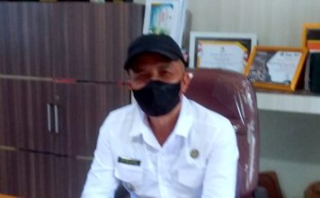 Harga Telur Anjlok Peternak Ayam Menjerit, Camat Lintau Buo Angkat Bicara