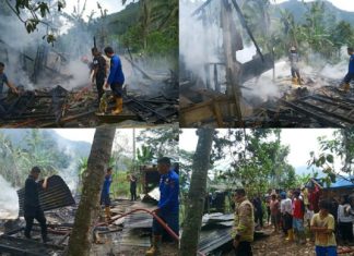 Musibah Kebakaran Menimpa Nagari Taram, Satu Unit Rumah Kayu Ludes Jadi Abu