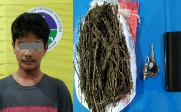 Miliki Daun Ganja Kering, Seorang Oknum Mahasiswa Ditangkap Polisi di Puncak Pas