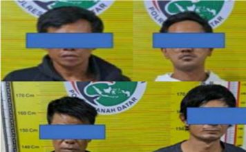 Selang Dua Jam, Tim Trantula Polres Tanah Datar Tangkap 4 Pelaku Sabu