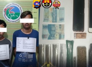 Miliki 8 Paket Ganja, Polisi Tangkap 2 Pemuda di Koto Laweh dan Sungai Pua