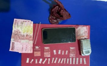 Pengedar Sabu Ditangkap Polisi, 24 Bungkus Kecil Sabu Diamankan dari Pelaku