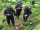 Geger, Warga Silaing Atas Temukan Granat Nanas Aktif dan Satu Peti Amunisi