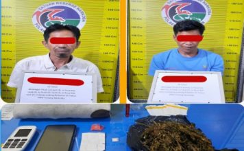 Kedapatan Simpan Sabu dan Ganja, Tim Tarantula Amankan Dua Terduga Pelaku