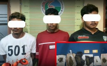 Simpan Ganja Kering, Tim Karanggo Tangkap Tiga Warga Panyalaian X Koto