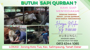 Mampu Baca Peluang Pasar, Inhendri Abbas Sediakan Kebutuhan Sapi Qurban