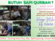 Mampu Baca Peluang Pasar, Inhendri Abbas Sediakan Kebutuhan Sapi Qurban