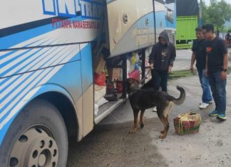 Deteksi Peredaran Narkoba, Polisi Gunakan Enam Ekor Anjing Pelacak
