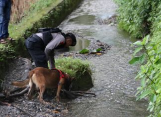 Kerahkan Anjing Pelacak K-9, Polisi Temukan BB Baru Terkait Pembunuhan Gadis Penjual Gorengan