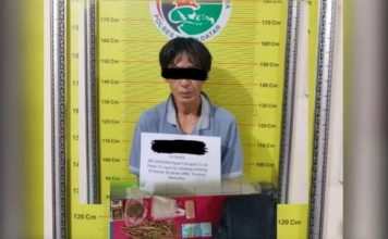 Miliki Satu Paket Daun Ganja Kering, Seorang Pria Ditangkap Polisi dalam Kedai Nasi di Sungai Tarab