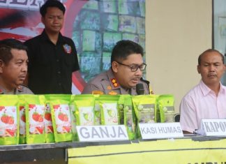 Bermoduskan Dikemas dalam Teh Buah, Polisi Gagalkan Peredaran 4 Kg Narkotika Jenis Ganja