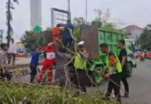 Pohon Tumbang Timpa Jamaah, Dua Orang Warga Dikhabarkan Tewas Jelang Sholat Idul Fitri 1446 H
