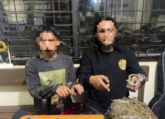 Tangkap Dua Tersangka Pria, Polisi Amankan Barang Bukti 3,8 Kg Ganja Kering Siap Untuk Diedarkan