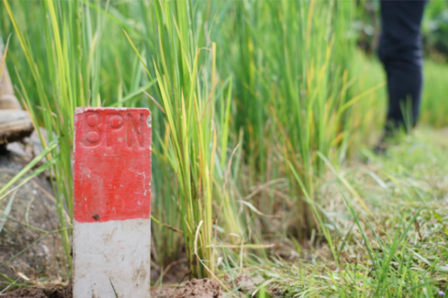 Picsart_25-08-09_05-57-55-299