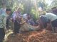 Masyarakat Sungai Salak Berduka, Seorang Remaja Putra Ditemukan Meninggal Dunia dalam Luwak
