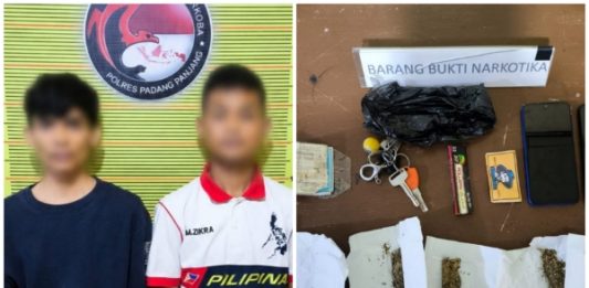 Miliki Lima Paket Ganja Kering, Polisi Tangkap Dua Pria di Tikungan Tugu Semen Padang Silaing Bawah