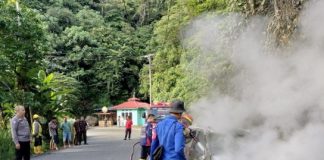 Mobil Grand Livina Alami Nasib Naas, Kendaraan Hangus Terbakar di Jalan Lintas Sumbar-Riau