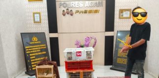 Ungkap Perdagangan Satwa Dilindungi, Polisi Gagalkan Pengiriman 244 Ekor Burung ke Lampung