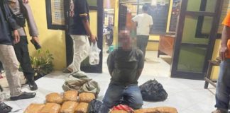 Rencana Akan Diedarkan di Bukittinggi, Polisi Tangkap Seorang Pria Inisial JA dan 30 Paket Ganja Kering