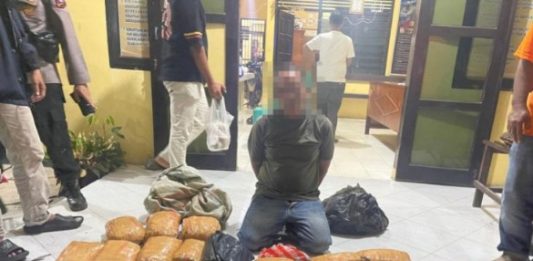 Rencana Akan Diedarkan di Bukittinggi, Polisi Tangkap Seorang Pria Inisial JA dan 30 Paket Ganja Kering
