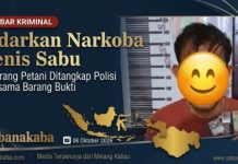 Edarkan Narkoba Jenis Sabu, Seorang Petani Diamankan Pihak Kepolisian Beserta Sejumlah BB