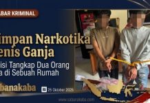 Simpan Narkotika Jenis Ganja, Polisi Amankan Dua Pria di Sebuah Rumah